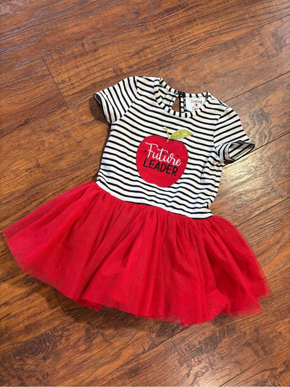 Counting daisies girls size 2T Future Leader tutu dress